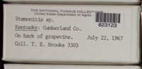 Image Associated With the Occurence